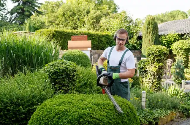 landscaping services Panama City Beach